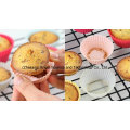 Big Size Cake Tool Cake en silicone Pan Sc01 (L)